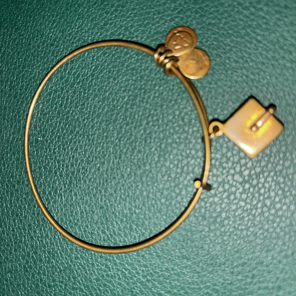 Alex and Ani bracelet